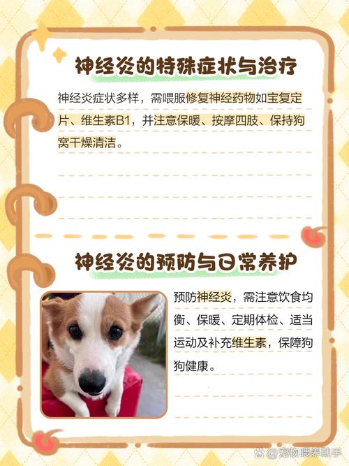 狗狗一直发抖没精神也不吃东西怎么办