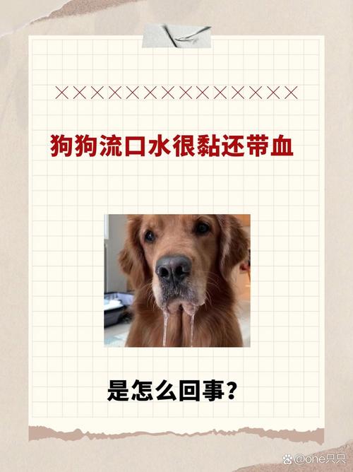 狗狗发抖没精神不吃东西是怎么回事