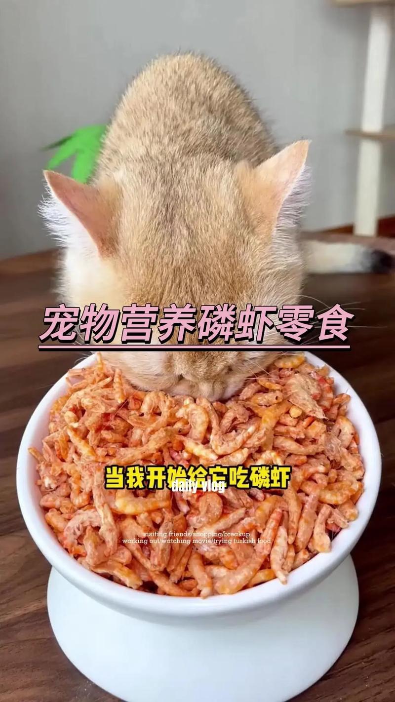 2个月猫咪可以喂虾肉吗