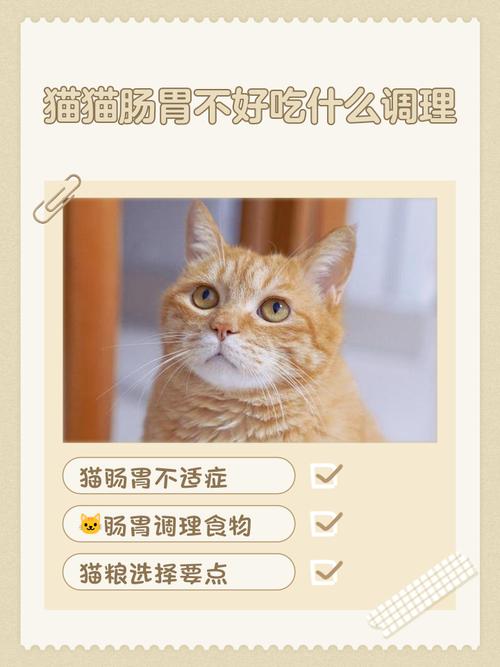 猫咪肠胃不好消化不良能自愈吗