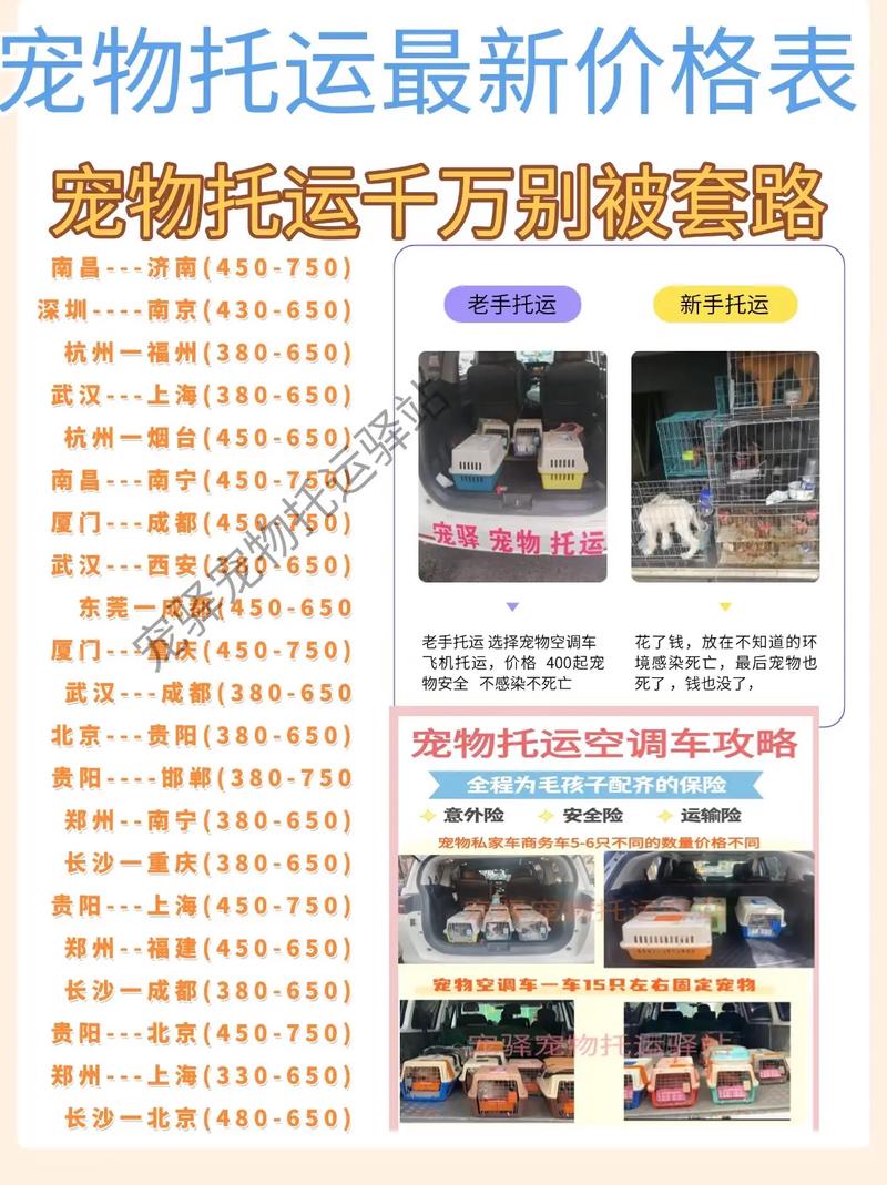 带宠物坐火车需要什么手续(高铁托运一只猫要多少钱)