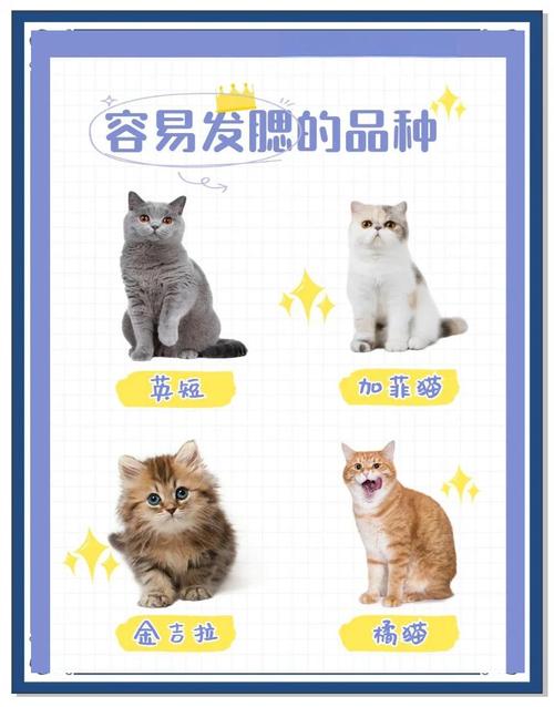 布偶猫几个月开始发腮?