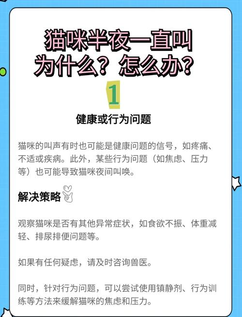 我家猫咪老叫个不停是怎么回事啊?