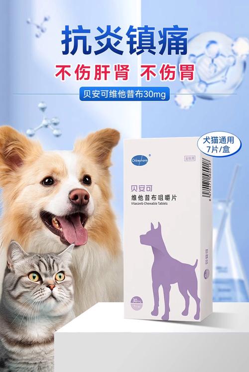 狗狗肠胃炎吃什么消炎药