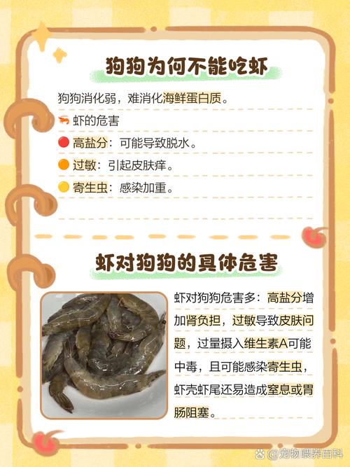 泰迪吃了虾后果很严重