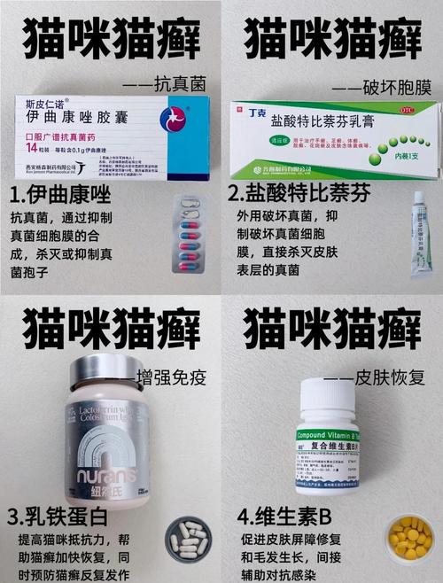 猫咪得了猫藓怎么办?