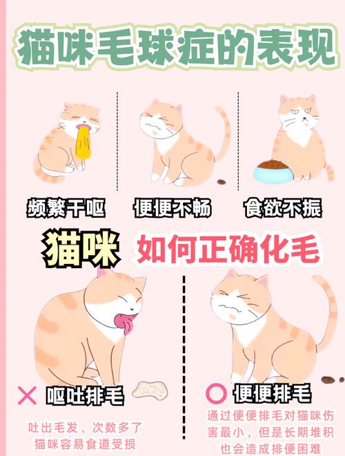 猫吃化毛膏一次吃多少