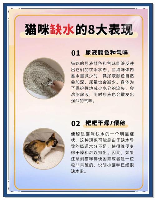 猫咪为什么突然很渴