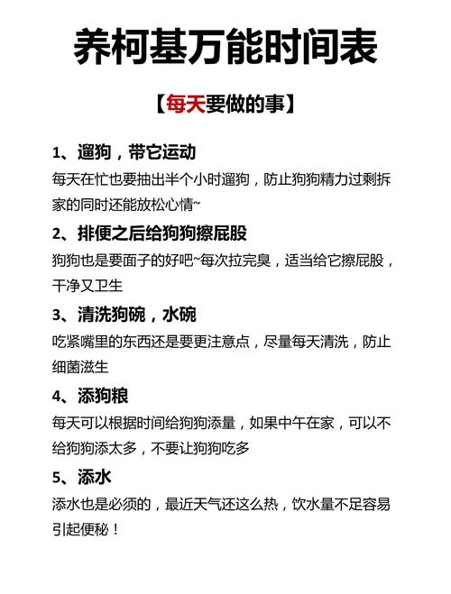 狗狗先洗澡还是先打针