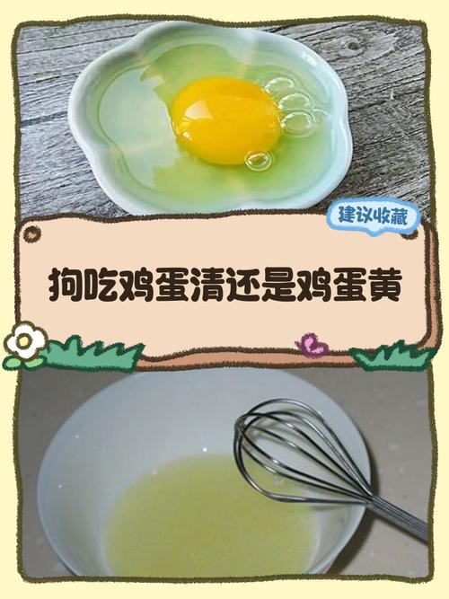 狗狗可以吃煮熟的鸡蛋清吗