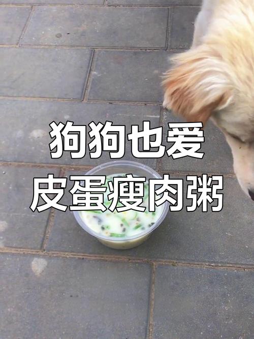 狗狗能吃皮蛋瘦肉粥吗
