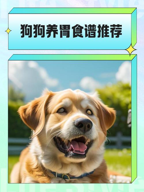 狗狗能不能吃皮蛋瘦肉粥