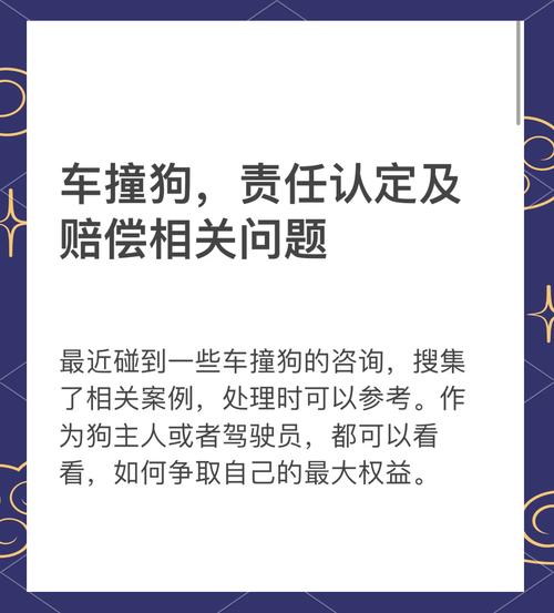 2000的狗被车撞死了怎么赔偿