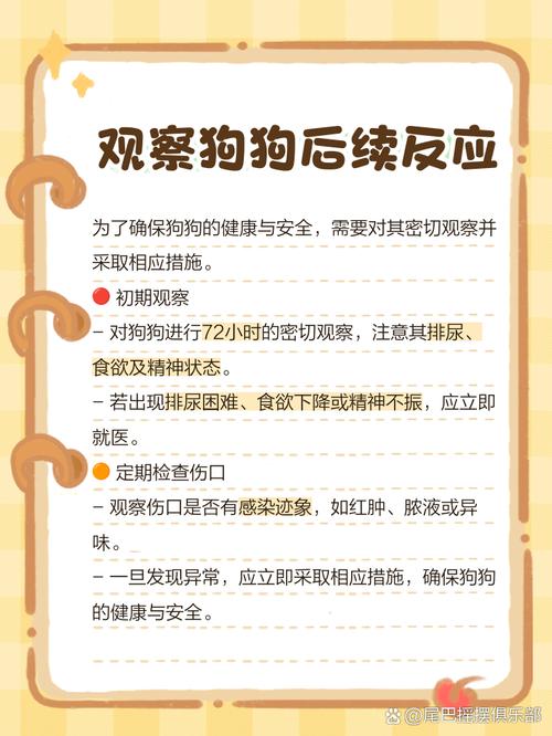 狗狗被车撞死,主人该如何索赔呢?