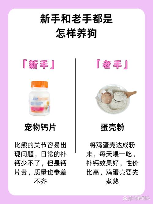 狗狗为什么不能淀粉