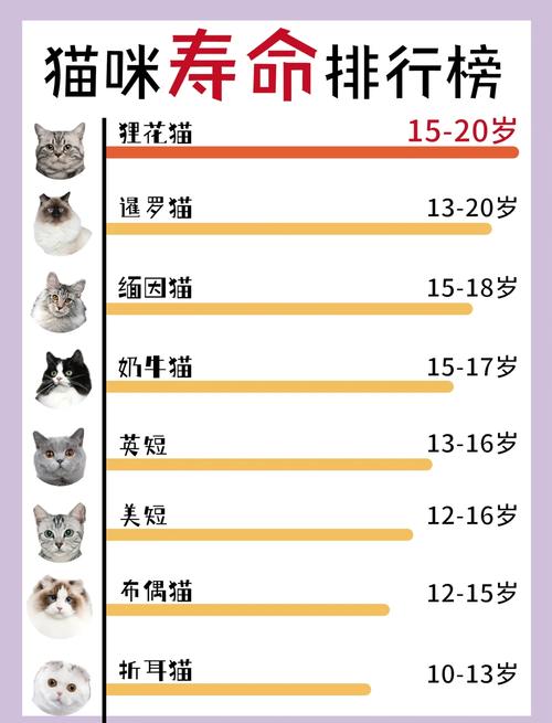 猫咪瘫痪了能活多久