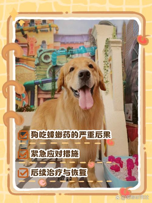 狗吃蟑螂对身体有影响吗