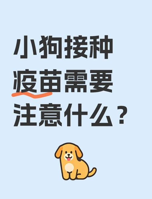 狗狗刚打完疫苗可以出去玩吗