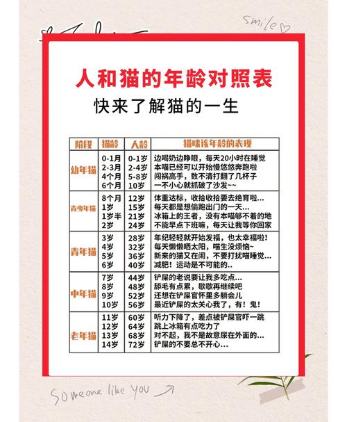 泪目!猫咪离世前,最想跟你说的8句话!