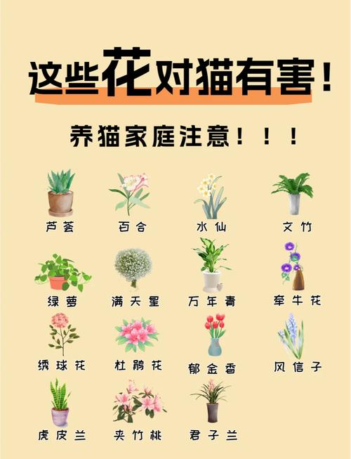 养猫必看|养猫家庭这些植物千万不要养__