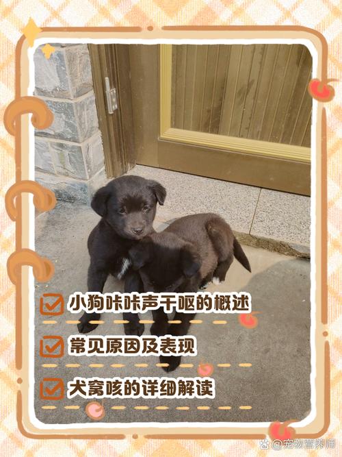 为什么狗狗抱着会咳嗽几声