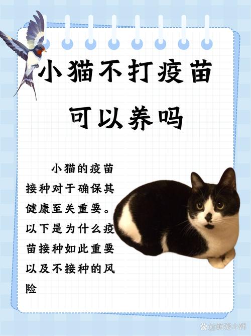 猫可以一辈子不打疫苗吗