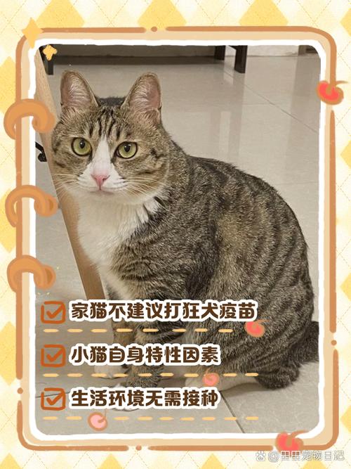 在家里养猫不出门,用不用打猫三联,和狂犬疫苗!现在猫八个月了!没打过...