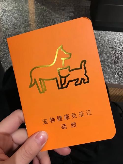 室内养的猫完全没必要打三联