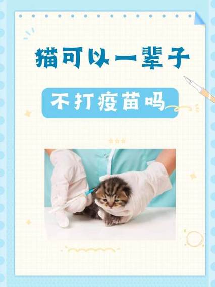 猫根本不必打三联