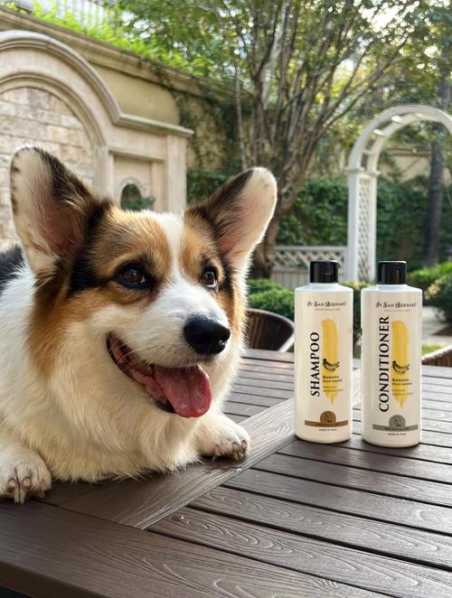 狗狗可以用人用的护发素吗