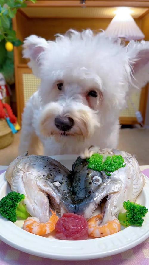 狗狗吃哪些骨头比较合适