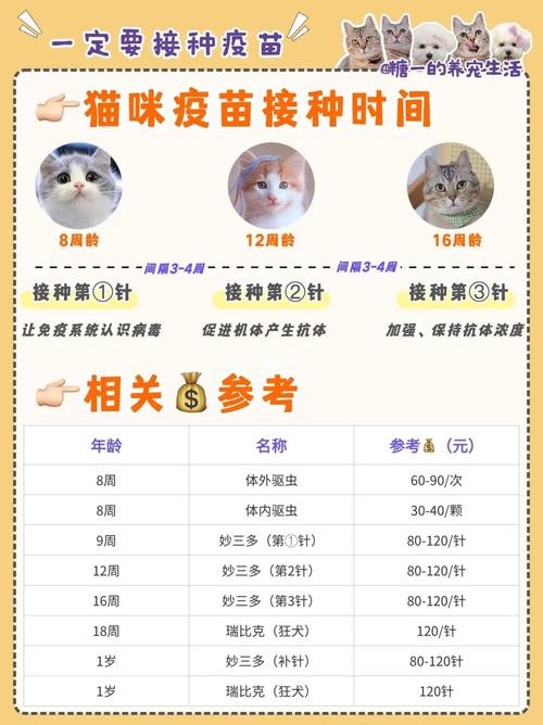给猫打疫苗要多少钱