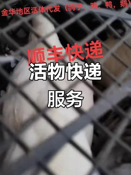 顺丰可否快递活体宠物狗?