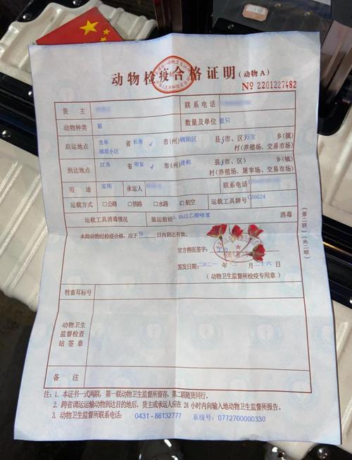 哪家快递公司可以托运狗狗?