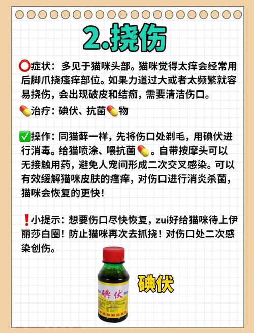 猫细小自己在家怎么治疗?