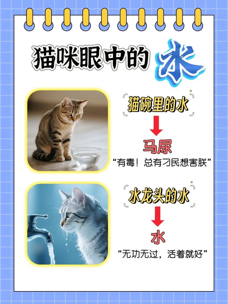 猫为什么爱喝自来水不喝纯净水?