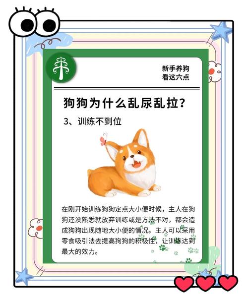 怎么让狗学会在外面拉屎拉尿-三个月狗狗乱拉乱尿怎么训练