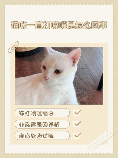 猫咪突然开始打喷嚏该怎么办呢?
