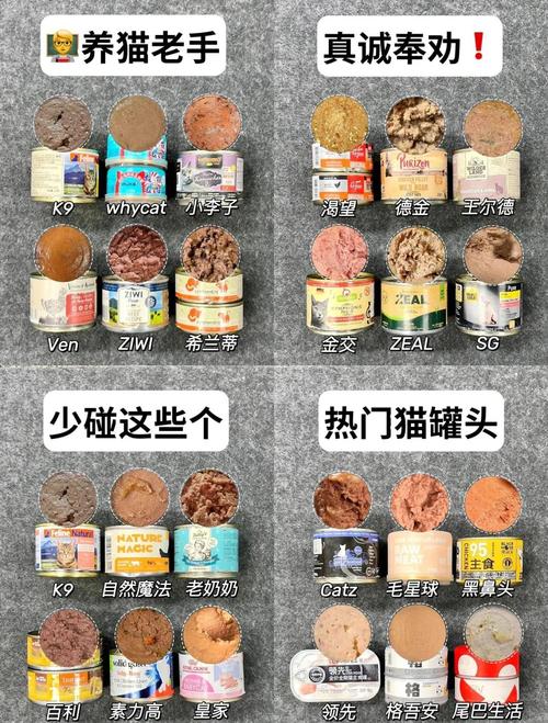 猫咪多大可以吃罐头