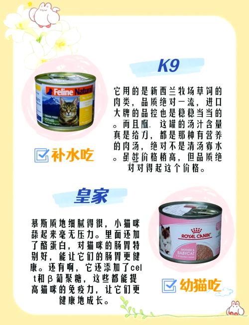 猫多大开始喂罐头?几个月一次?