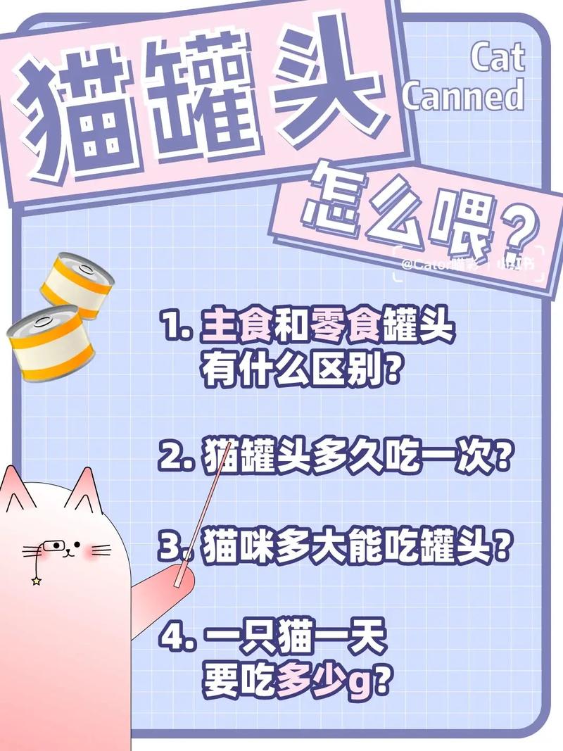 多大的猫咪可以吃罐头