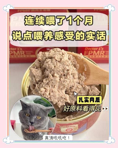 一个月的小猫可以吃猫罐头吗