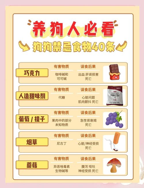 30种狗狗不能吃的食物|喂狗误区