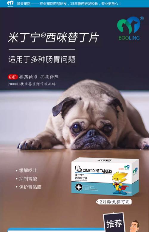 小狗不吃不喝呕吐吃什么药好