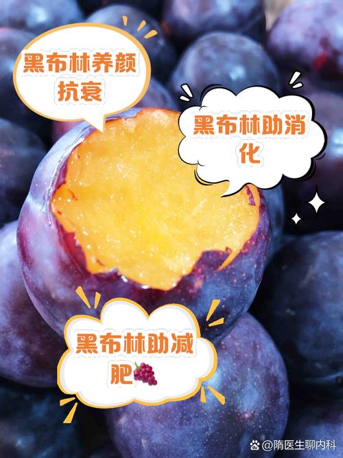 狗狗可以吃黑布林吗