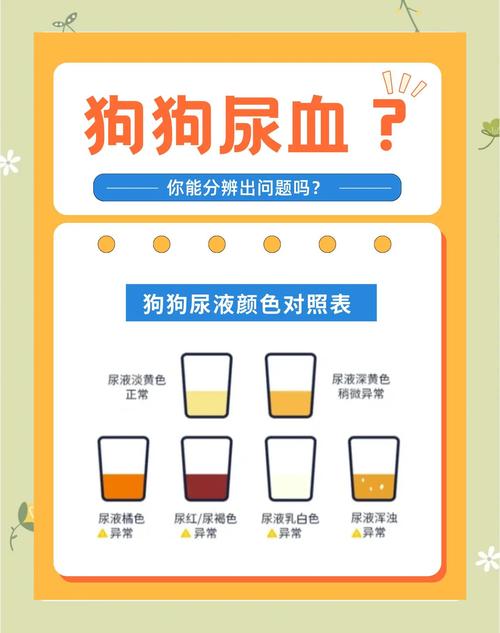 狗狗尿血怎麽办?