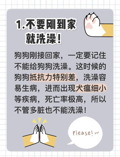 狗狗到家注意事项