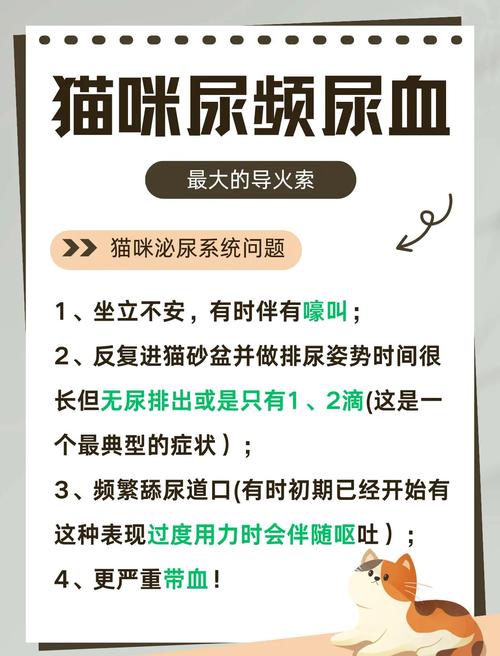 猫咪频繁上厕所每次只尿一点是怎么回事?