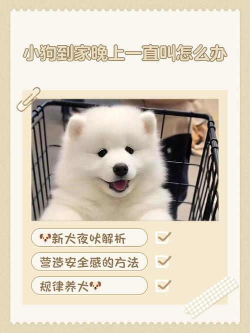 狗狗刚到家一直叫怎么办