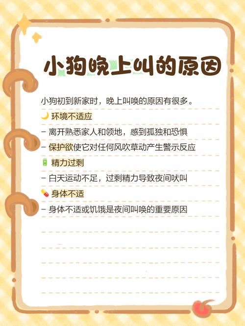 小狗刚到家关笼子一直叫怎么办